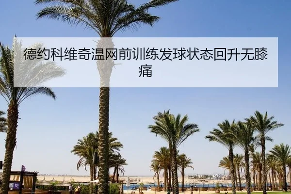 德约科维奇温网前训练发球状态回升无膝痛